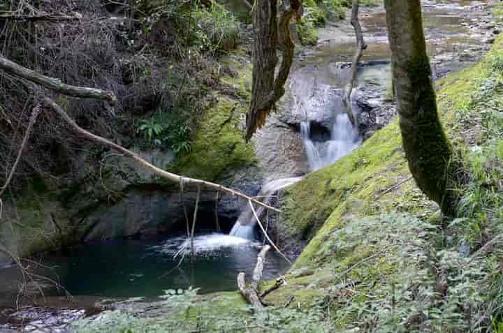 鷲家大明神・上社の滝